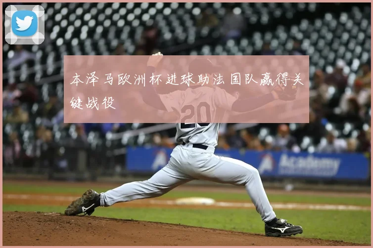 本泽马欧洲杯进球助法国队赢得关键战役