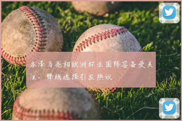 本泽马亮相欧洲杯法国阵容备受关注，锋线选择引发热议