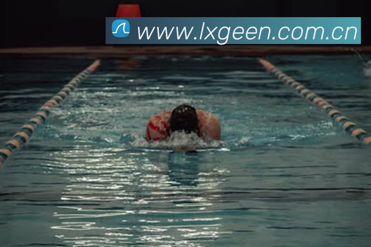 滚球官网appAPP 封面图